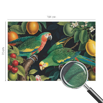 Fotótapéta méretre hálószobába Trópusi kaland