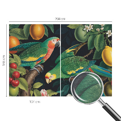 Fotótapéta méretre hálószobába Trópusi kaland