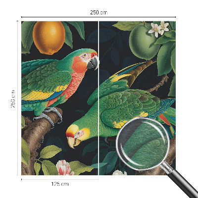 Fotótapéta méretre hálószobába Trópusi kaland