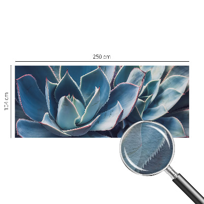 Fotó poszter tapéta Zöld aloe vera