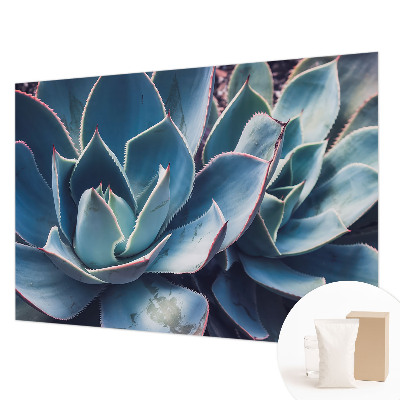 Fotó poszter tapéta Zöld aloe vera