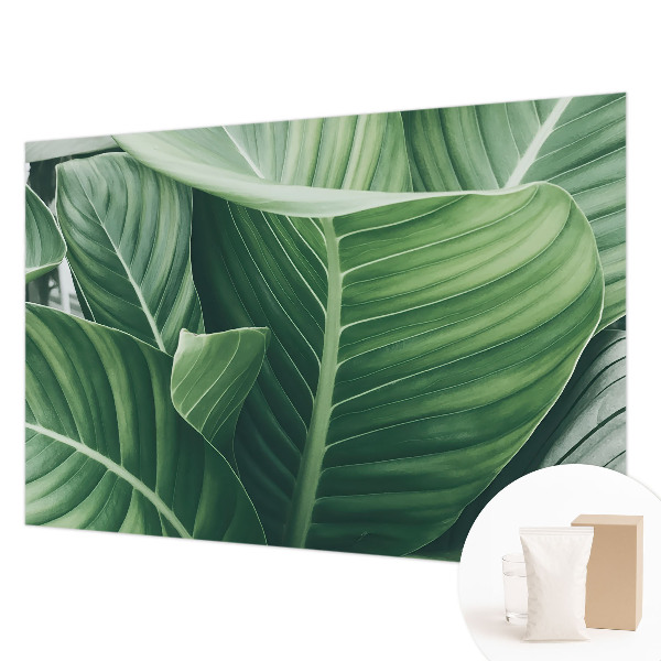 Fotótapéta méretre hálószobába Zöld béke