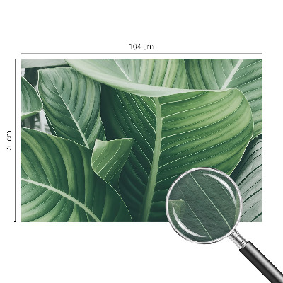 Fotótapéta méretre hálószobába Zöld béke