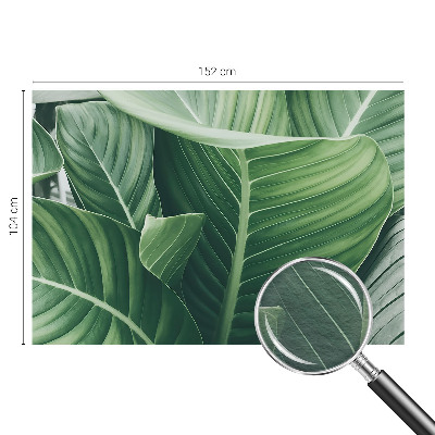 Fotótapéta méretre hálószobába Zöld béke