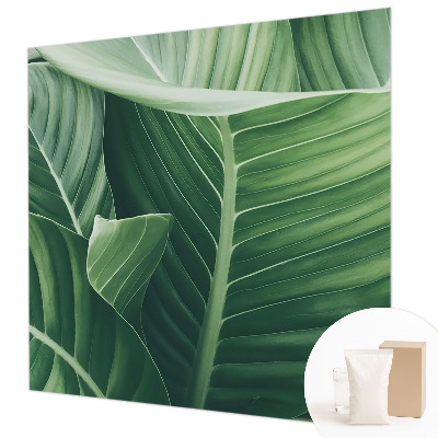 Fotótapéta méretre hálószobába Zöld béke