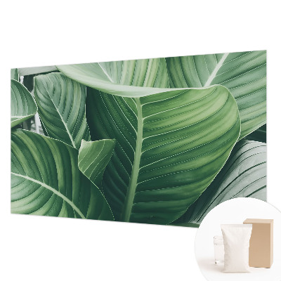 Fotótapéta méretre hálószobába Zöld béke