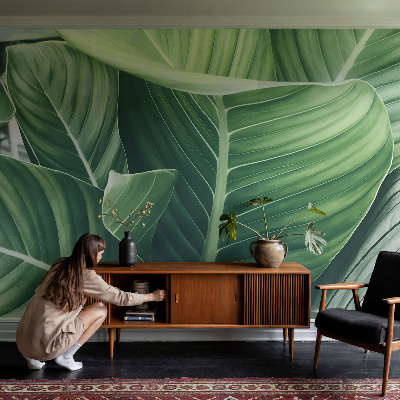 Fotótapéta méretre hálószobába Zöld béke