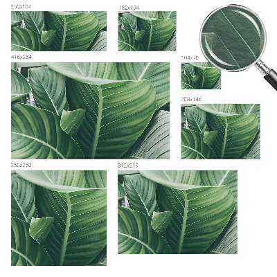 Fotótapéta méretre hálószobába Zöld béke