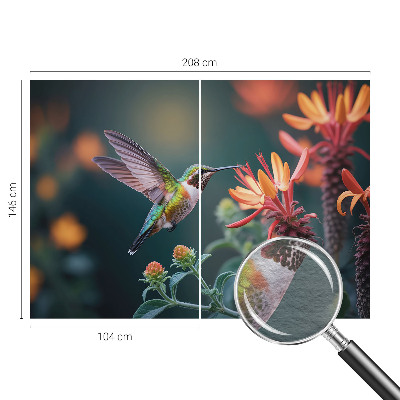 Fotótapéta Kolibri virágok