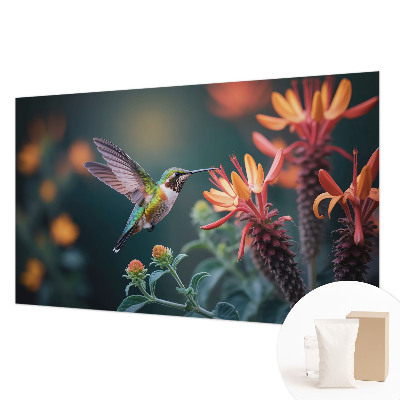 Fotótapéta Kolibri virágok