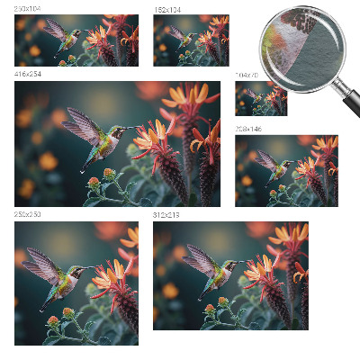 Fotótapéta Kolibri virágok