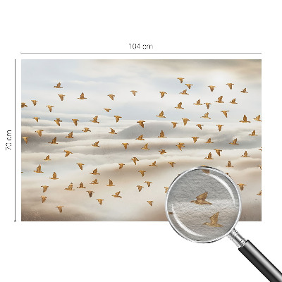 Óriás fotótapéta Madarak repülés közben