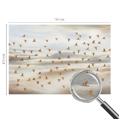Óriás fotótapéta Madarak repülés közben