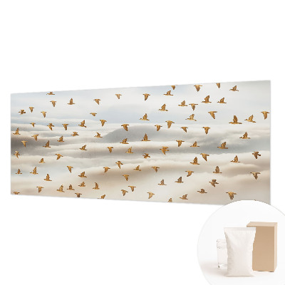 Óriás fotótapéta Madarak repülés közben