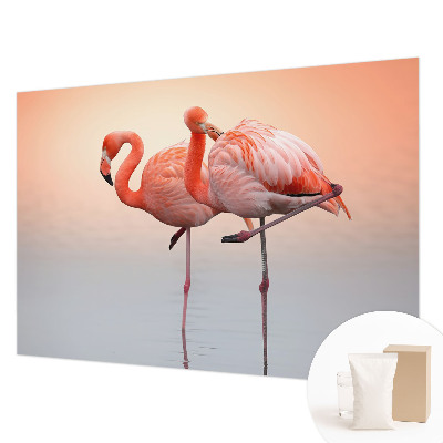 Vlies fotótapéta Finom flamingók