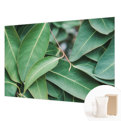 Vlies fotótapéta Zöld levelek