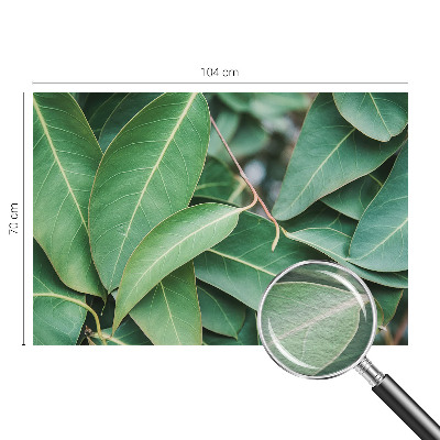 Vlies fotótapéta Zöld levelek