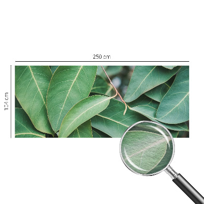 Vlies fotótapéta Zöld levelek