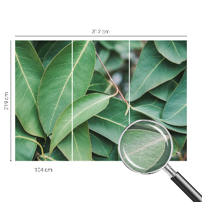 Vlies fotótapéta Zöld levelek