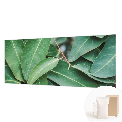 Vlies fotótapéta Zöld levelek