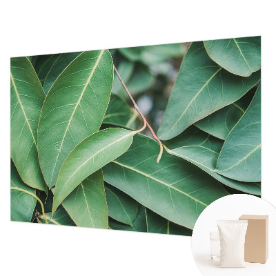 Vlies fotótapéta Zöld levelek