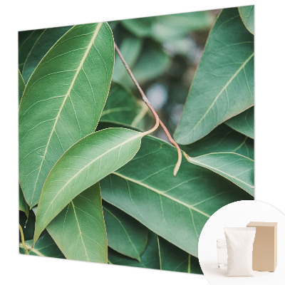 Vlies fotótapéta Zöld levelek