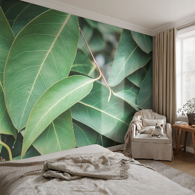Vlies fotótapéta Zöld levelek