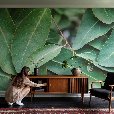 Vlies fotótapéta Zöld levelek