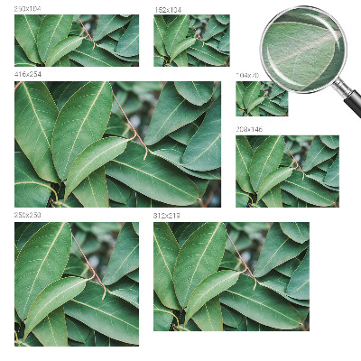 Vlies fotótapéta Zöld levelek