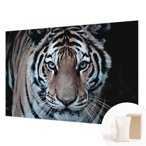 Poszter tapéta Tigris portré