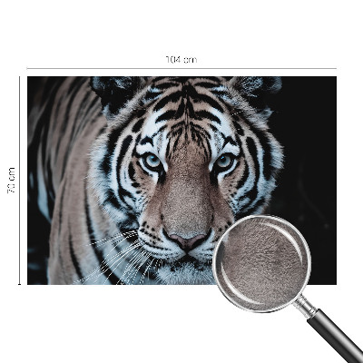 Poszter tapéta Tigris portré