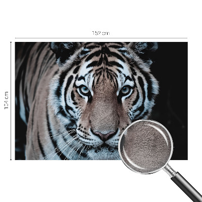 Poszter tapéta Tigris portré