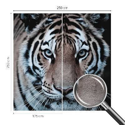 Poszter tapéta Tigris portré