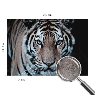 Poszter tapéta Tigris portré
