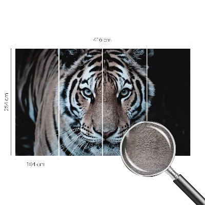 Poszter tapéta Tigris portré
