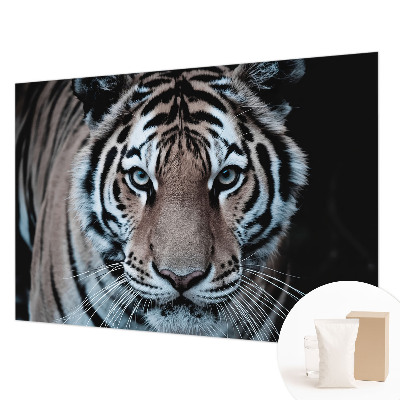 Poszter tapéta Tigris portré