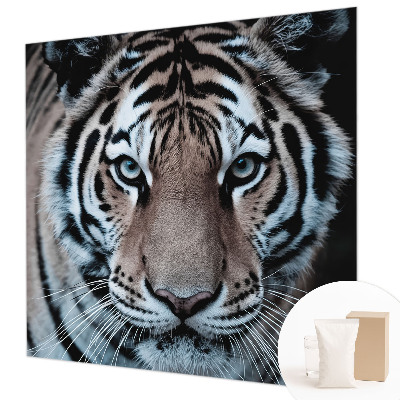 Poszter tapéta Tigris portré