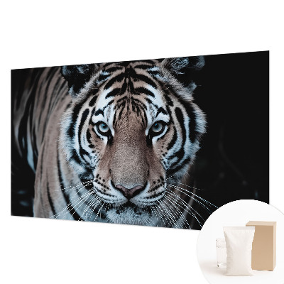 Poszter tapéta Tigris portré