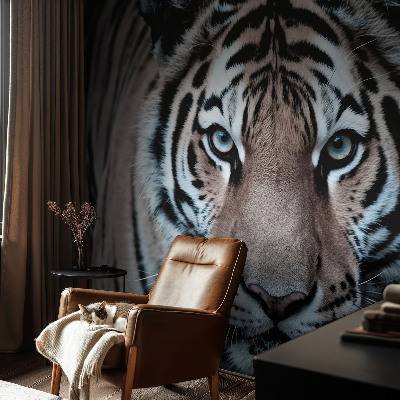 Poszter tapéta Tigris portré