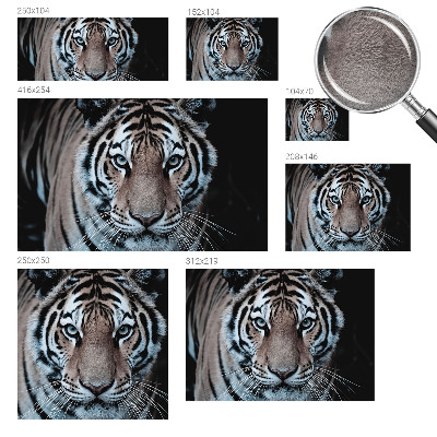 Poszter tapéta Tigris portré