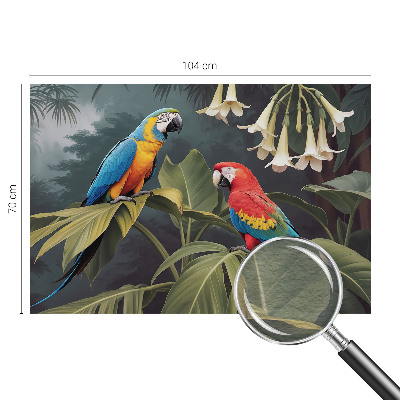 Vlies alapú fotótapéta Színes papagájok