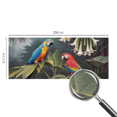 Vlies alapú fotótapéta Színes papagájok