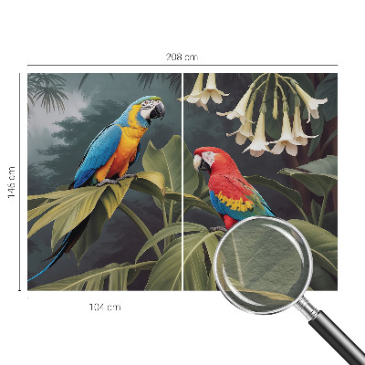 Vlies alapú fotótapéta Színes papagájok