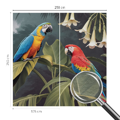 Vlies alapú fotótapéta Színes papagájok