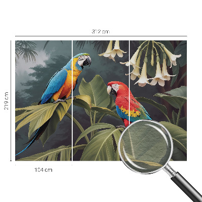 Vlies alapú fotótapéta Színes papagájok