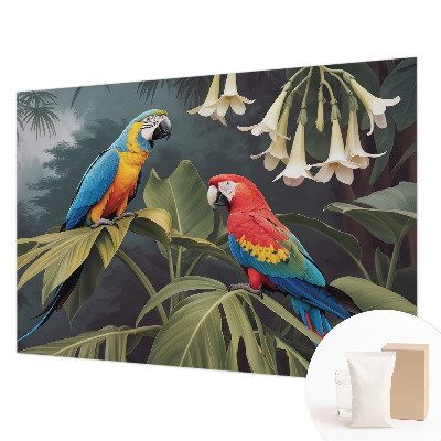 Vlies alapú fotótapéta Színes papagájok