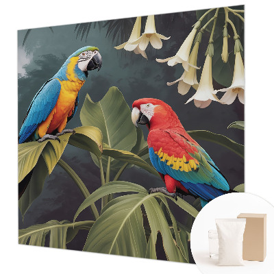 Vlies alapú fotótapéta Színes papagájok