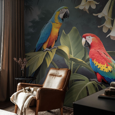 Vlies alapú fotótapéta Színes papagájok