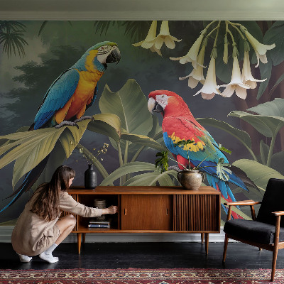 Vlies alapú fotótapéta Színes papagájok