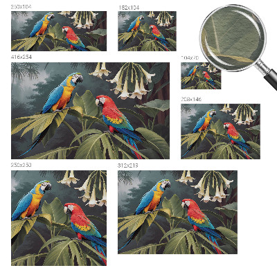 Vlies alapú fotótapéta Színes papagájok